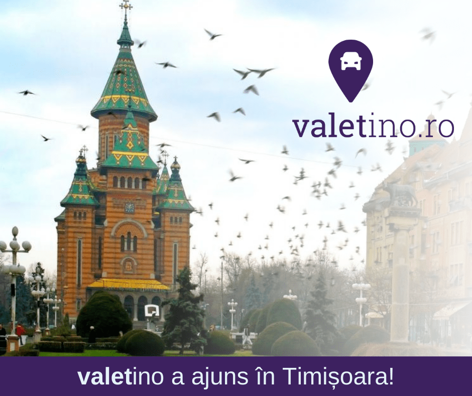 Catedrala Timisoara